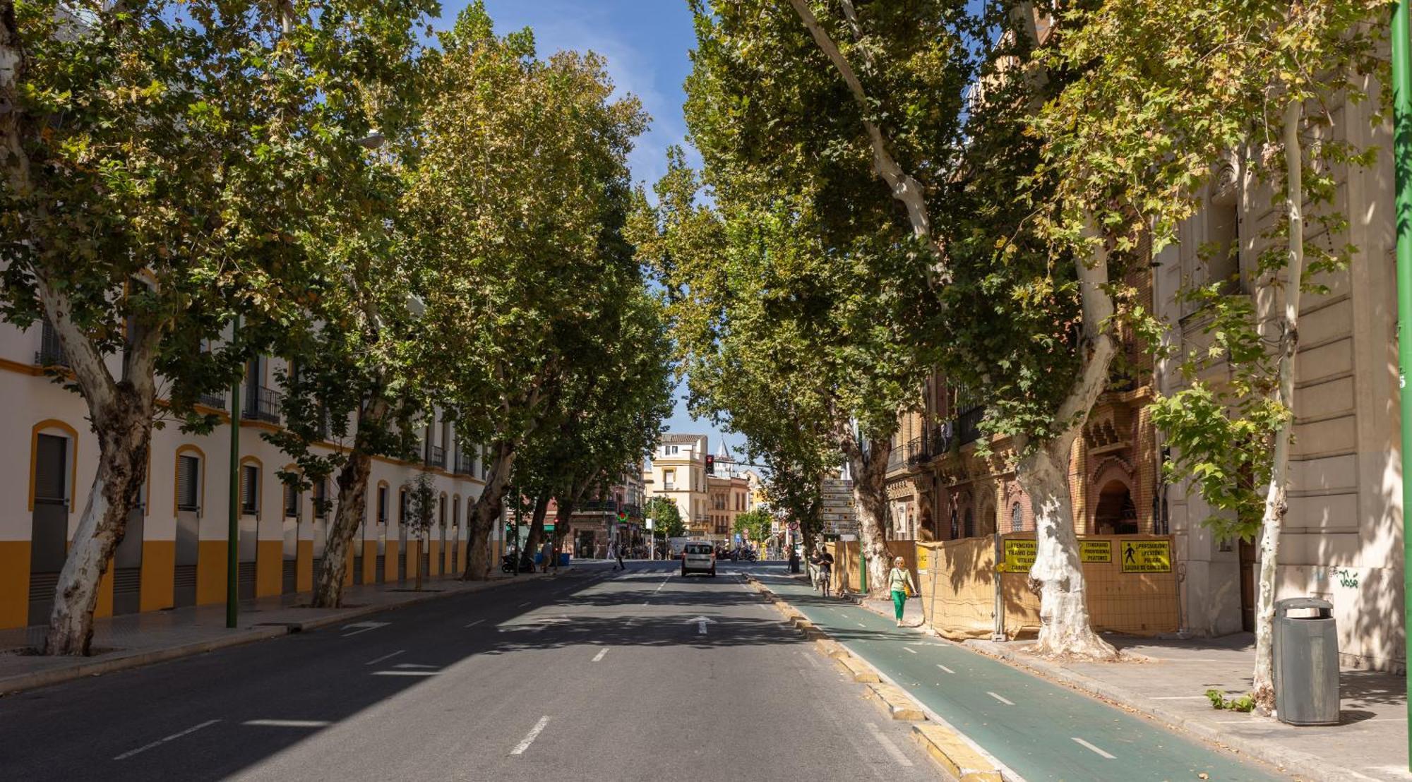 Charming 2 Bedroom Apartment At Sevilla City Center By Ocityzen Екстериор снимка